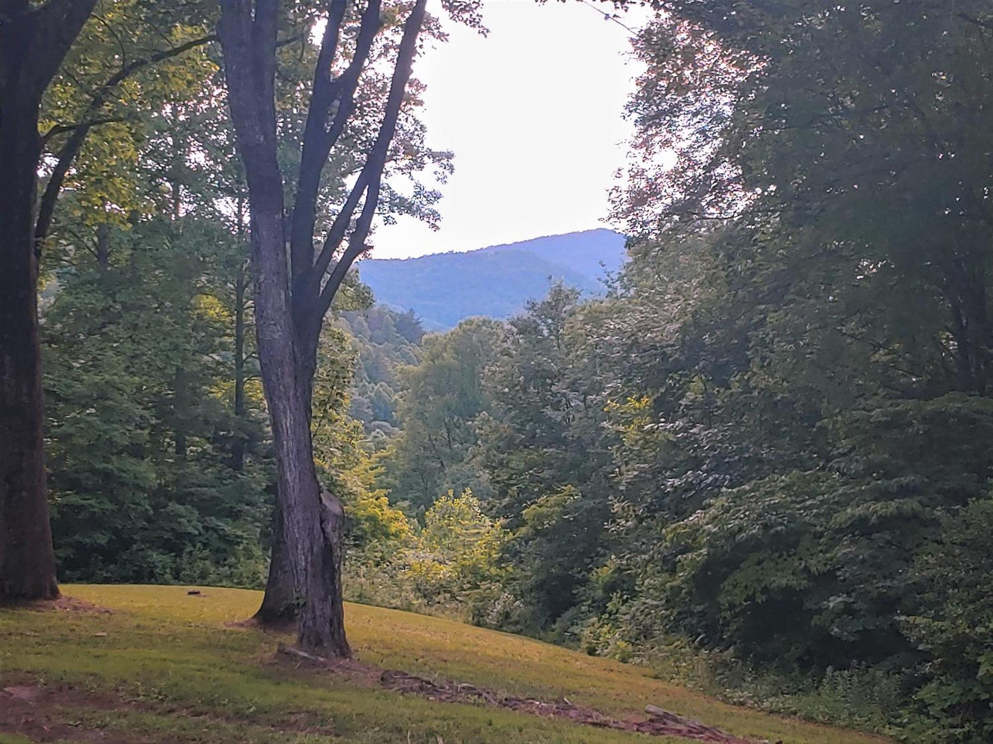 Bryson City Creekside Home With Hot Tub- 3 Bedroom-2 Bath Home Εξωτερικό φωτογραφία