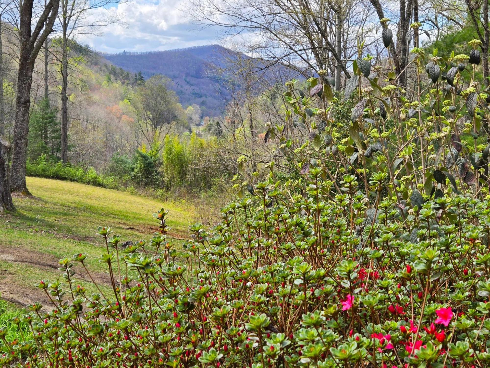 Bryson City Creekside Home With Hot Tub- 3 Bedroom-2 Bath Home Εξωτερικό φωτογραφία